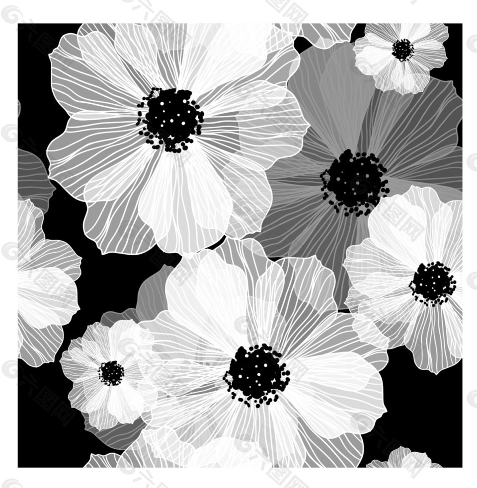 黑白花朵底纹