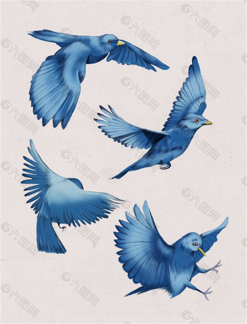 4只蓝色小鸟图片