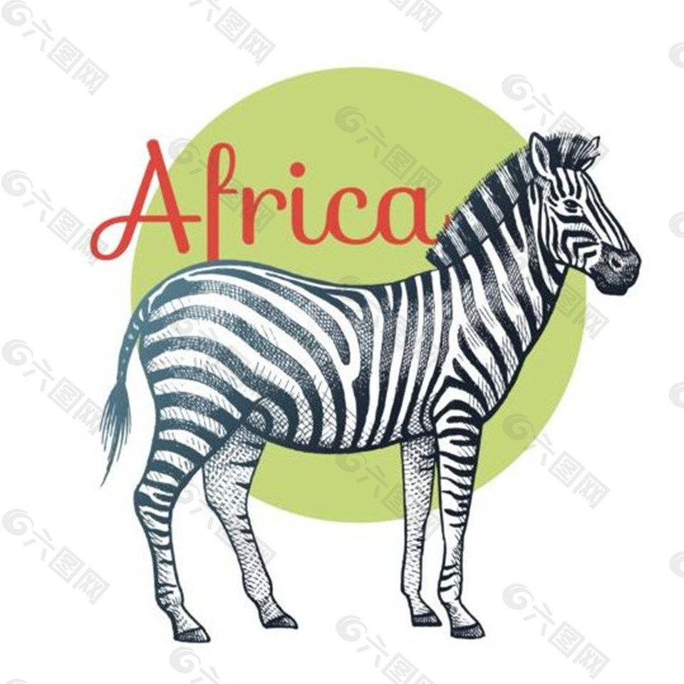 手绘非洲斑马矢量素材下载