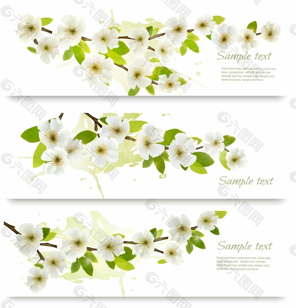 白色的梨花背景素材免费下载 图片编号 六图网