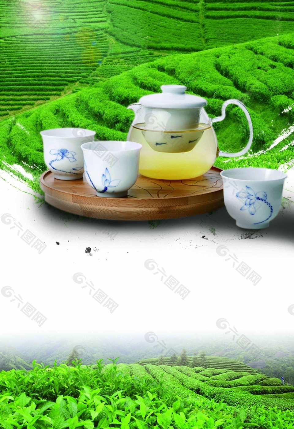 绿色茶园背景