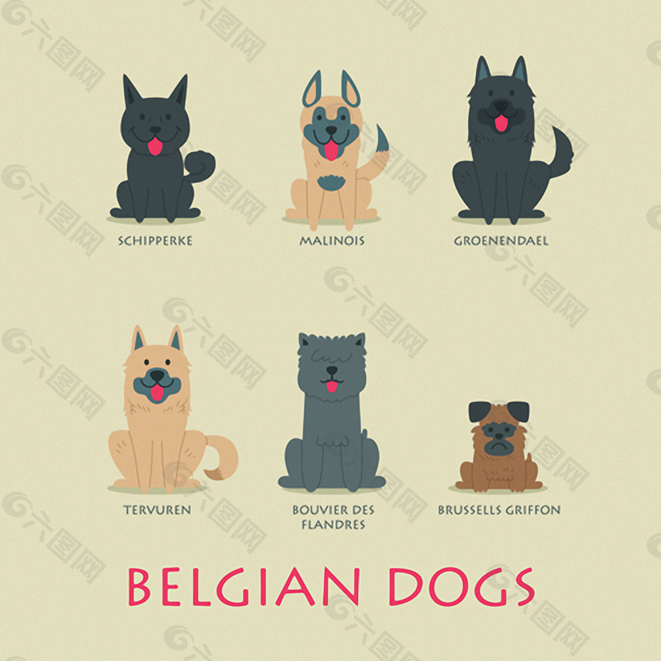 卡通比利时狗图标集矢量图