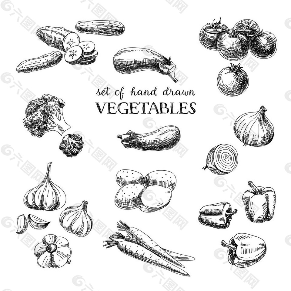 蔬菜水果素描图片