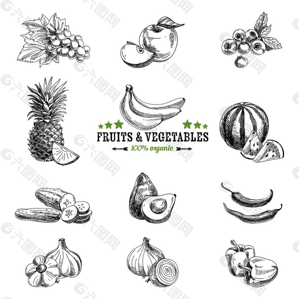水果蔬菜素描图片