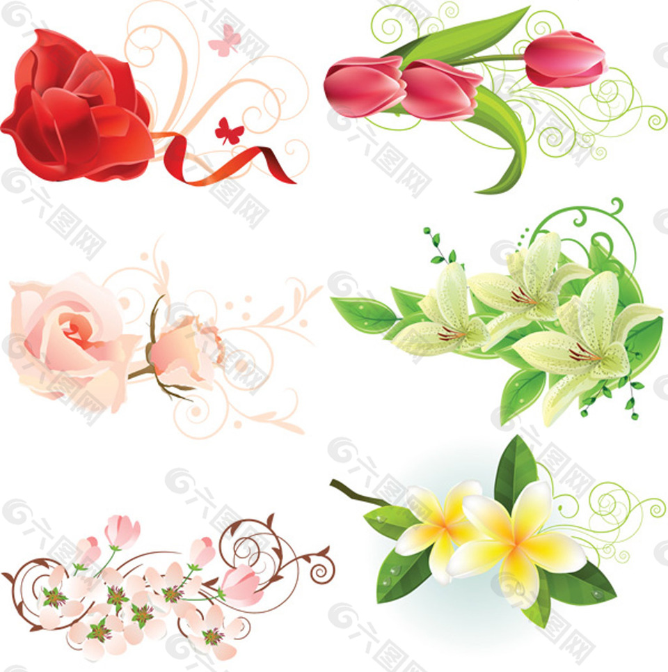 6种花朵