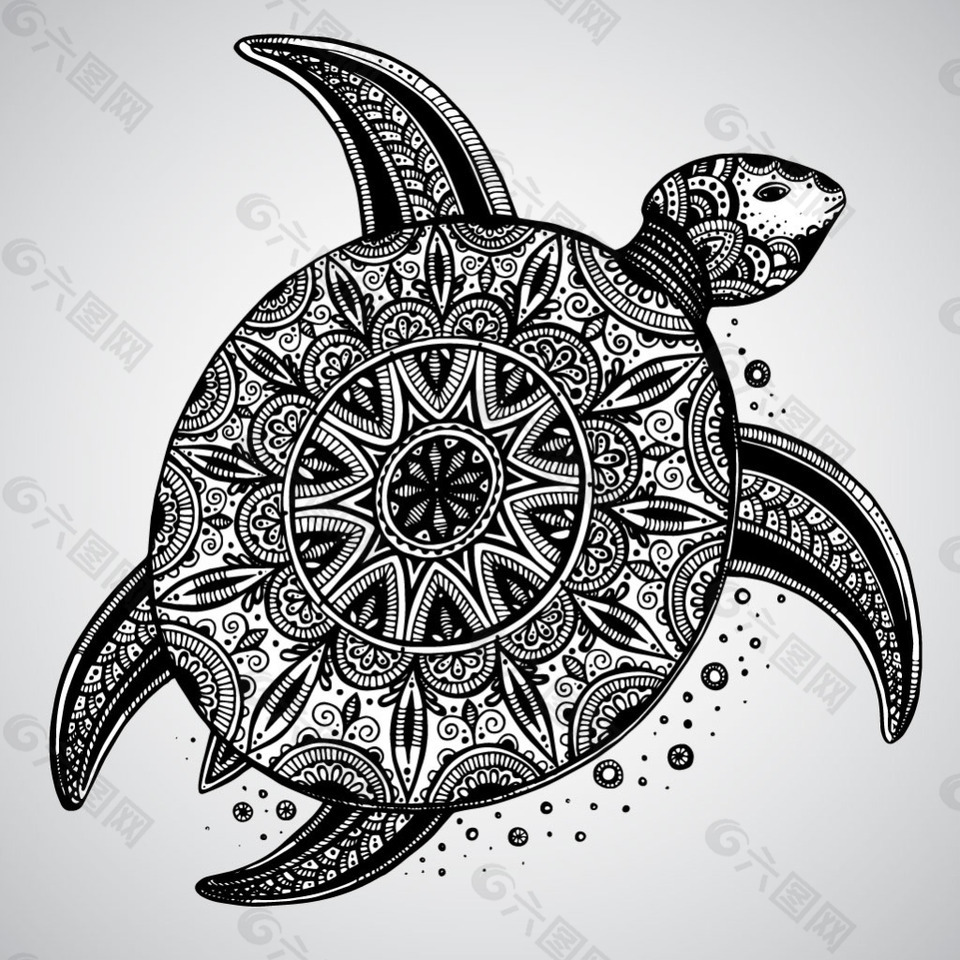 乌龟花纹卡通图片