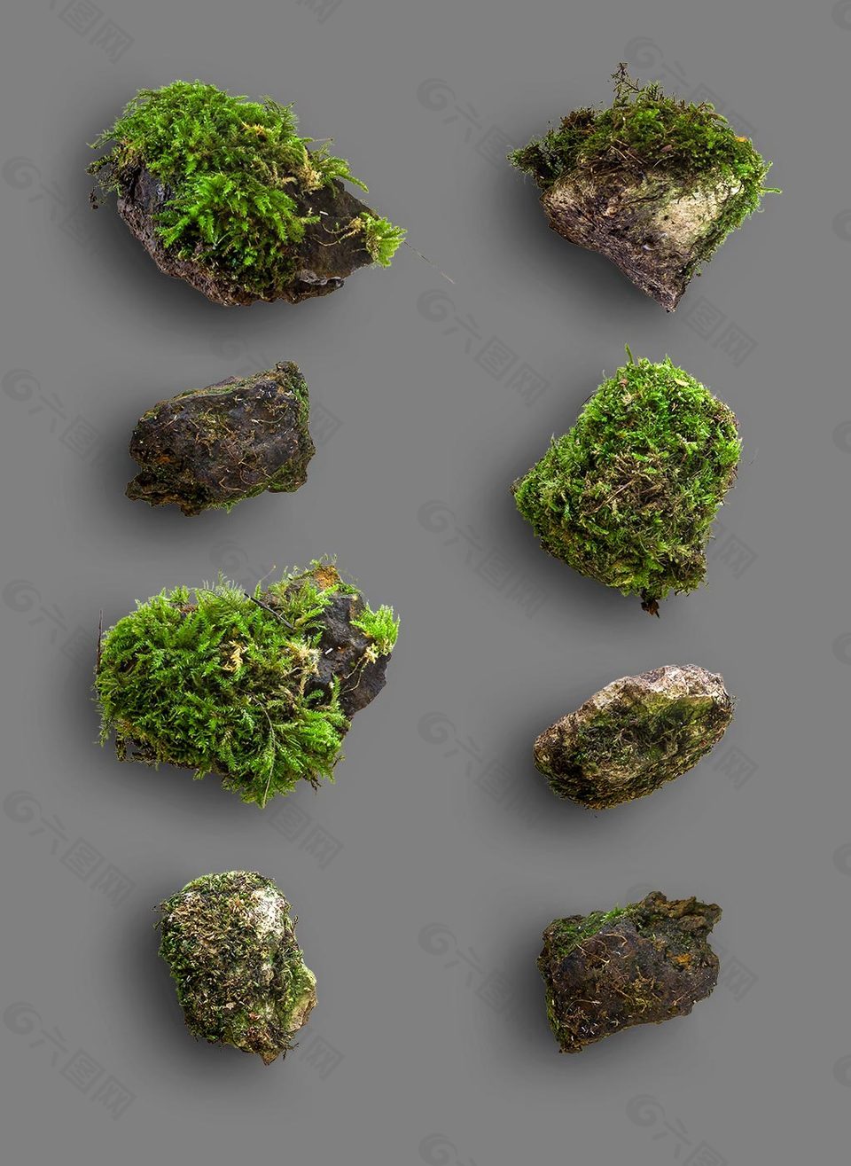 形态各异绿色苔藓石块秋季元素