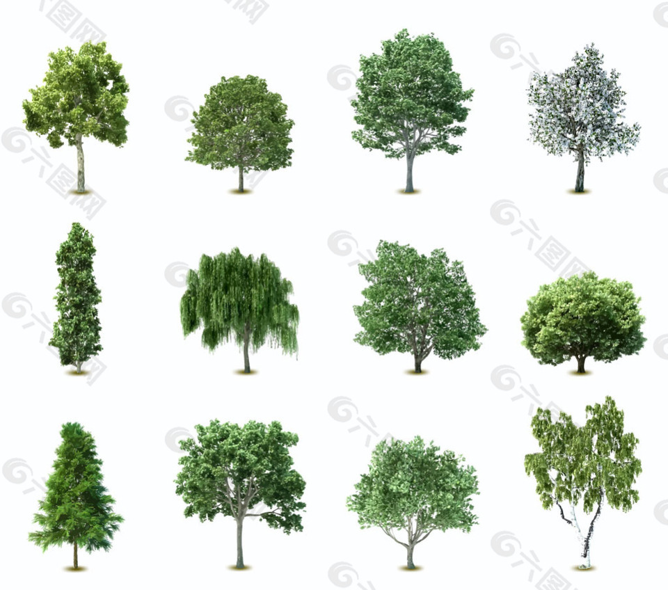 各种树木矢量元素素材