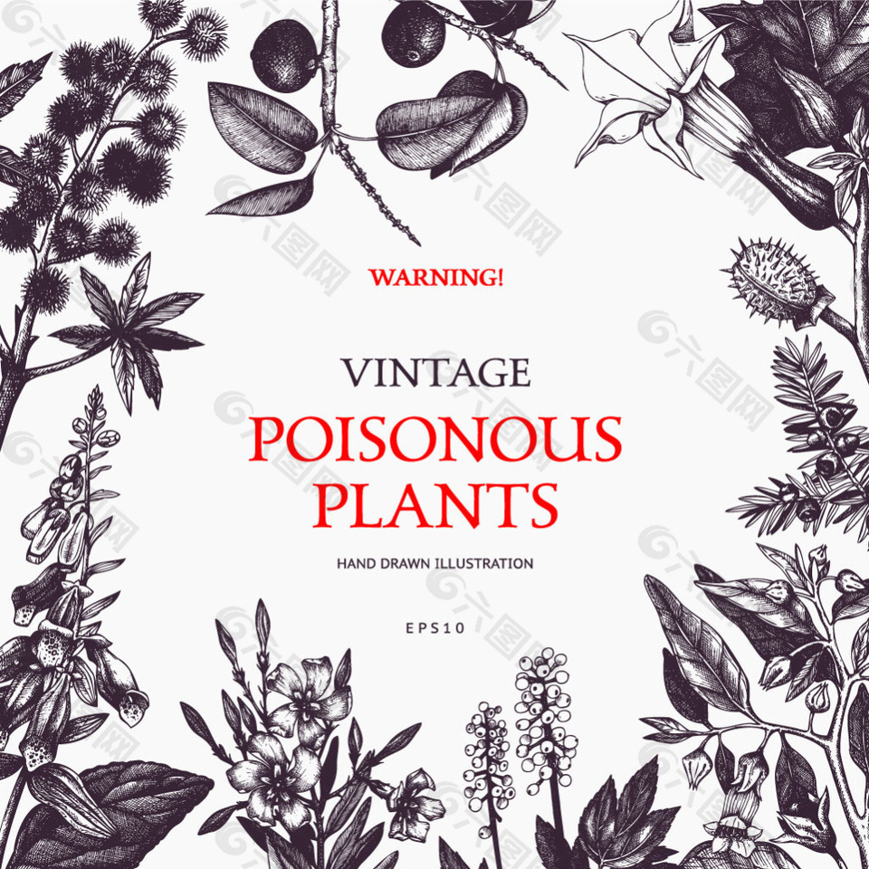 有毒植物警告海报装饰背景矢量素材