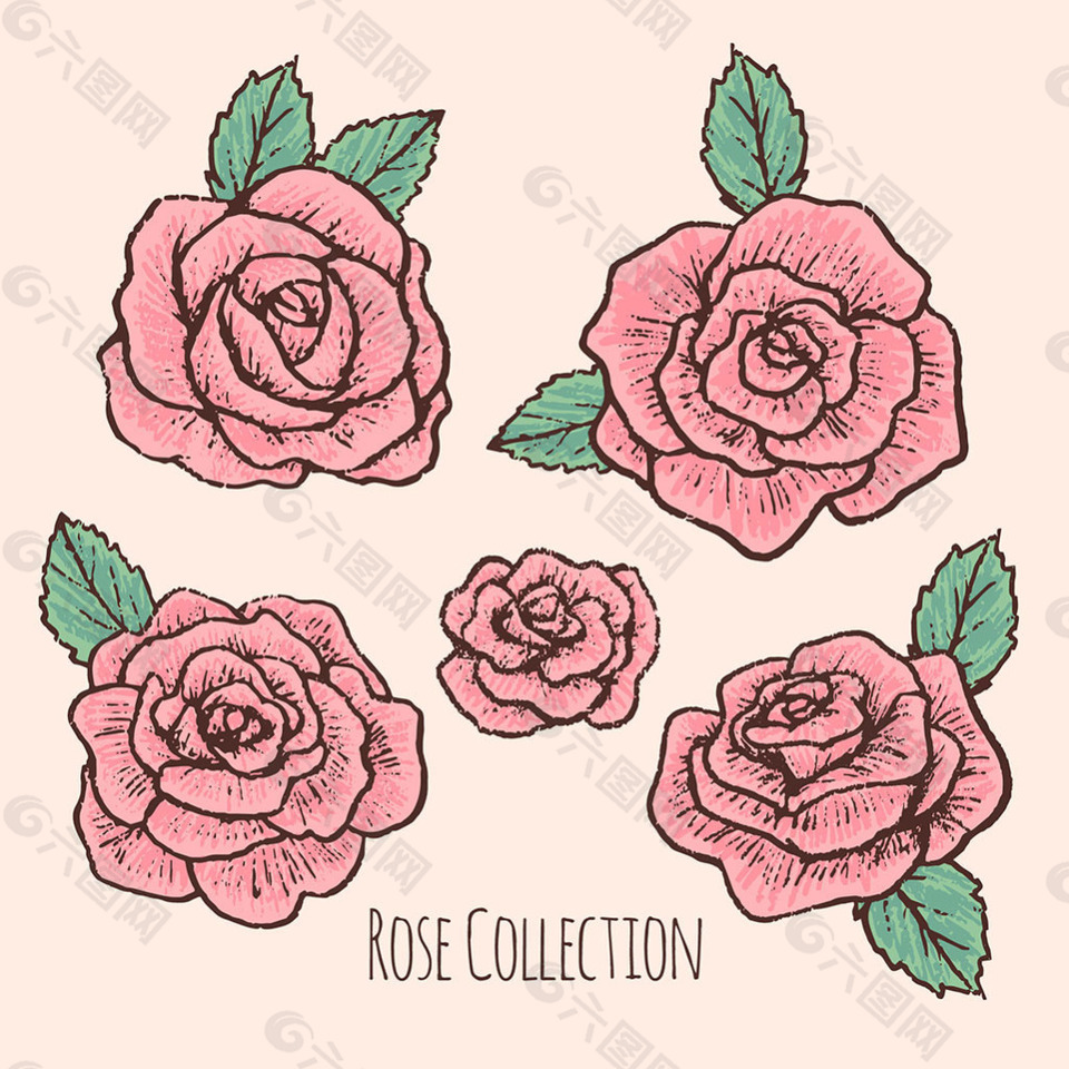 手绘五朵红色玫瑰矢量设计素材