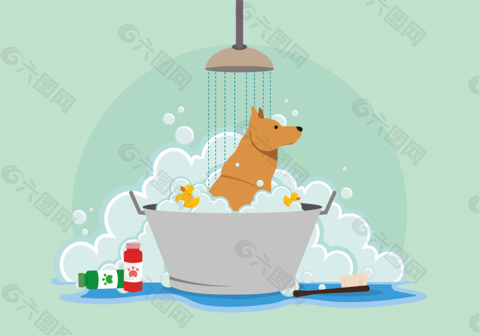 宠物狗洗浴插画