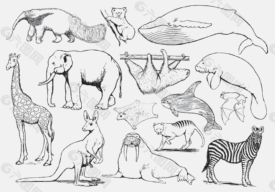 野生动物简易画法图片