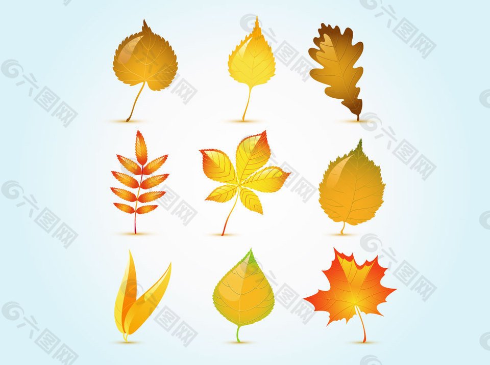 秋季手绘树叶