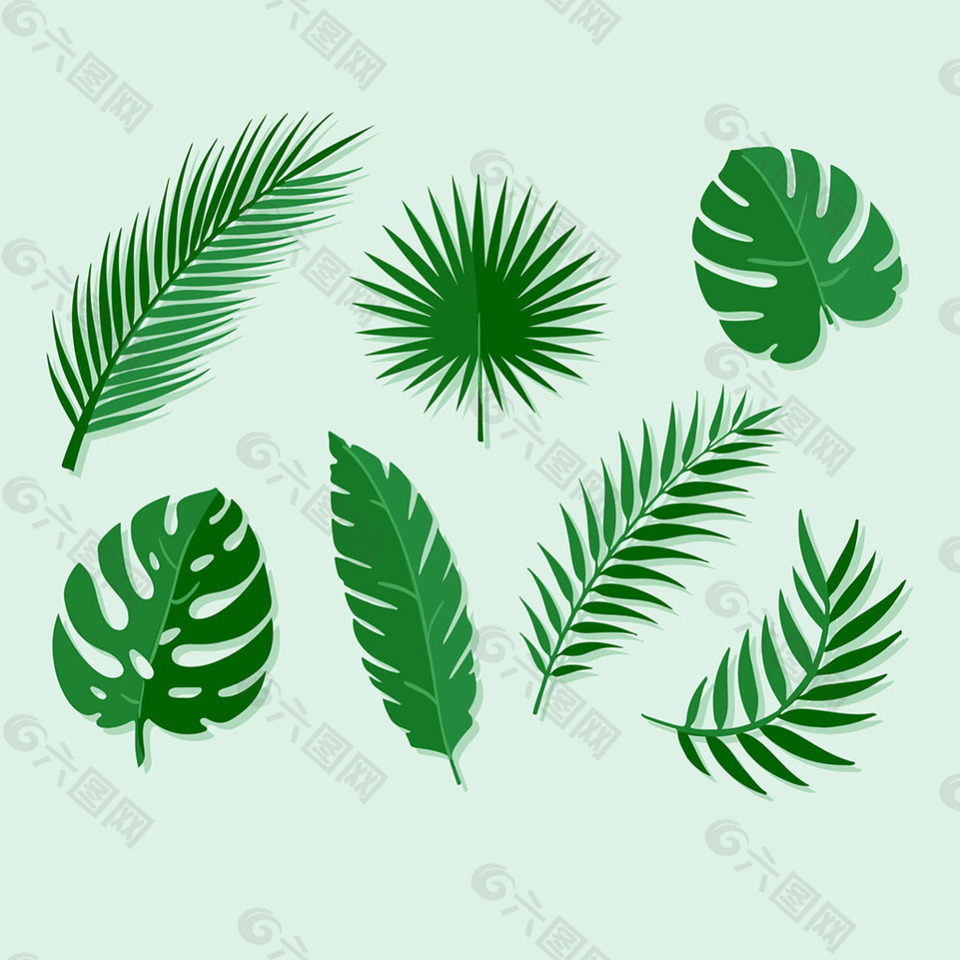 不同形状绿色棕榈叶矢量设计素材