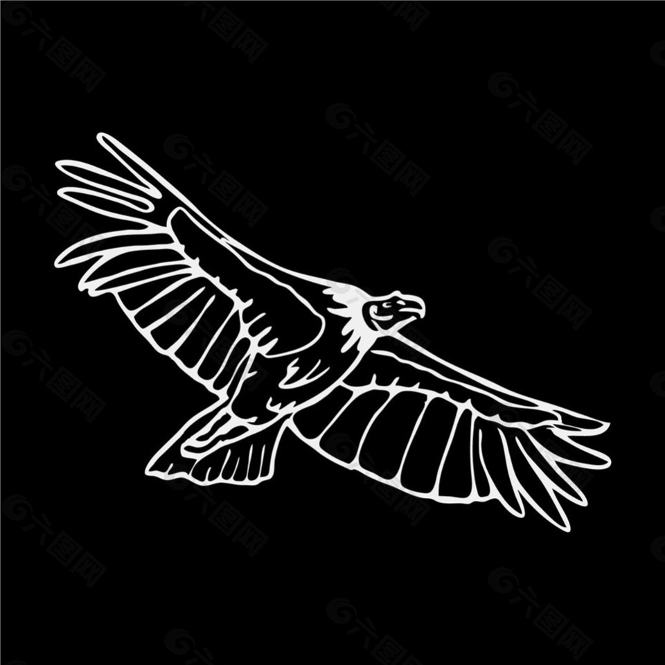 黑色背景手绘白色线条秃鹰设计素材