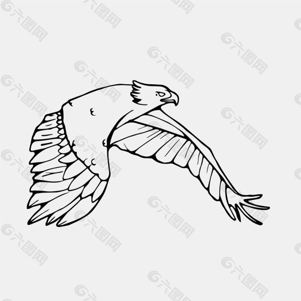 飞翔的老鹰插图插画矢量素材