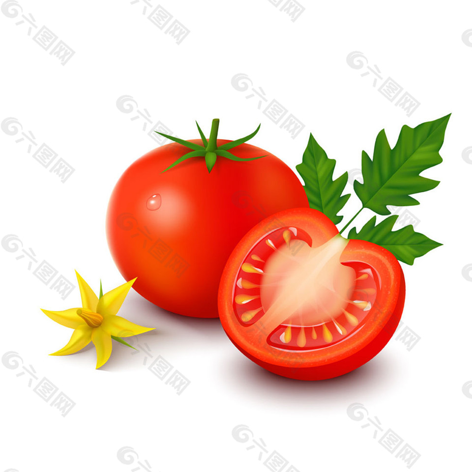 手绘番茄图片