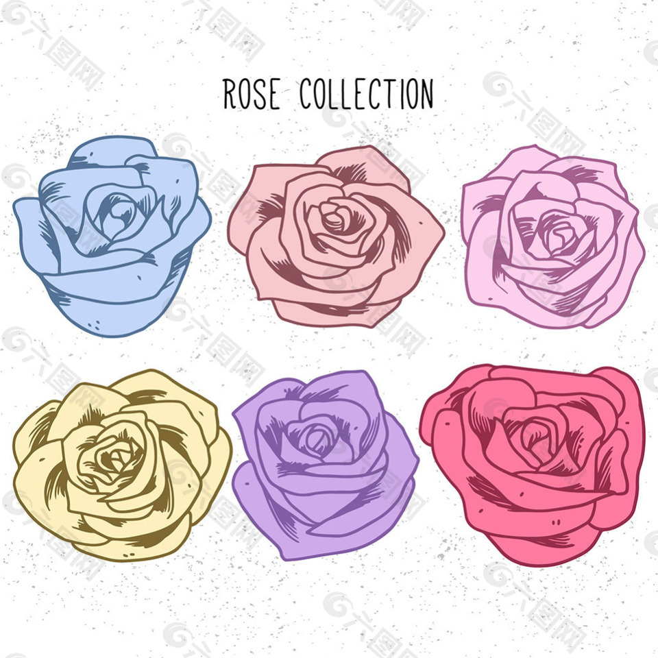 六种不同颜色的手绘玫瑰