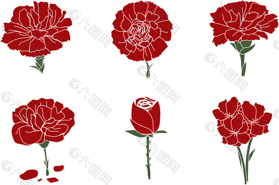 手绘康乃馨插画