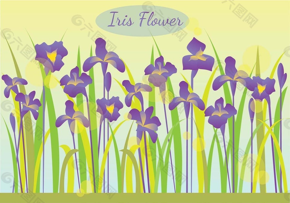 手绘清新花卉插画