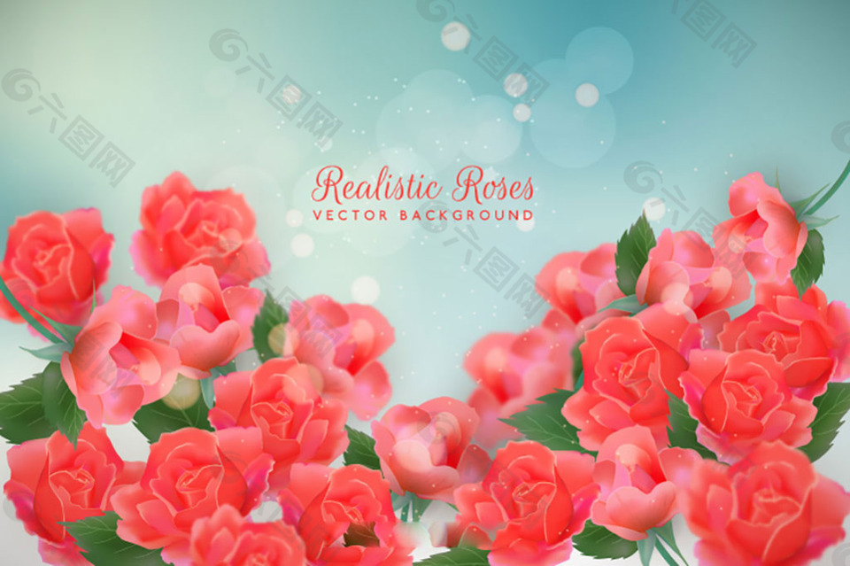 写实风格玫瑰背景素材