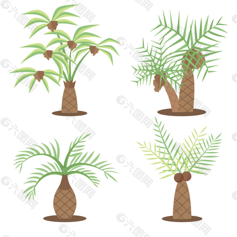 各种类型棕榈树插图