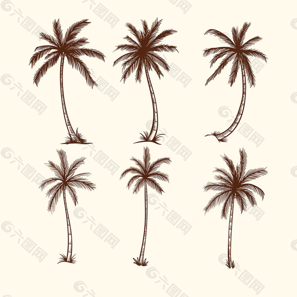 手绘素描风格棕榈树插图