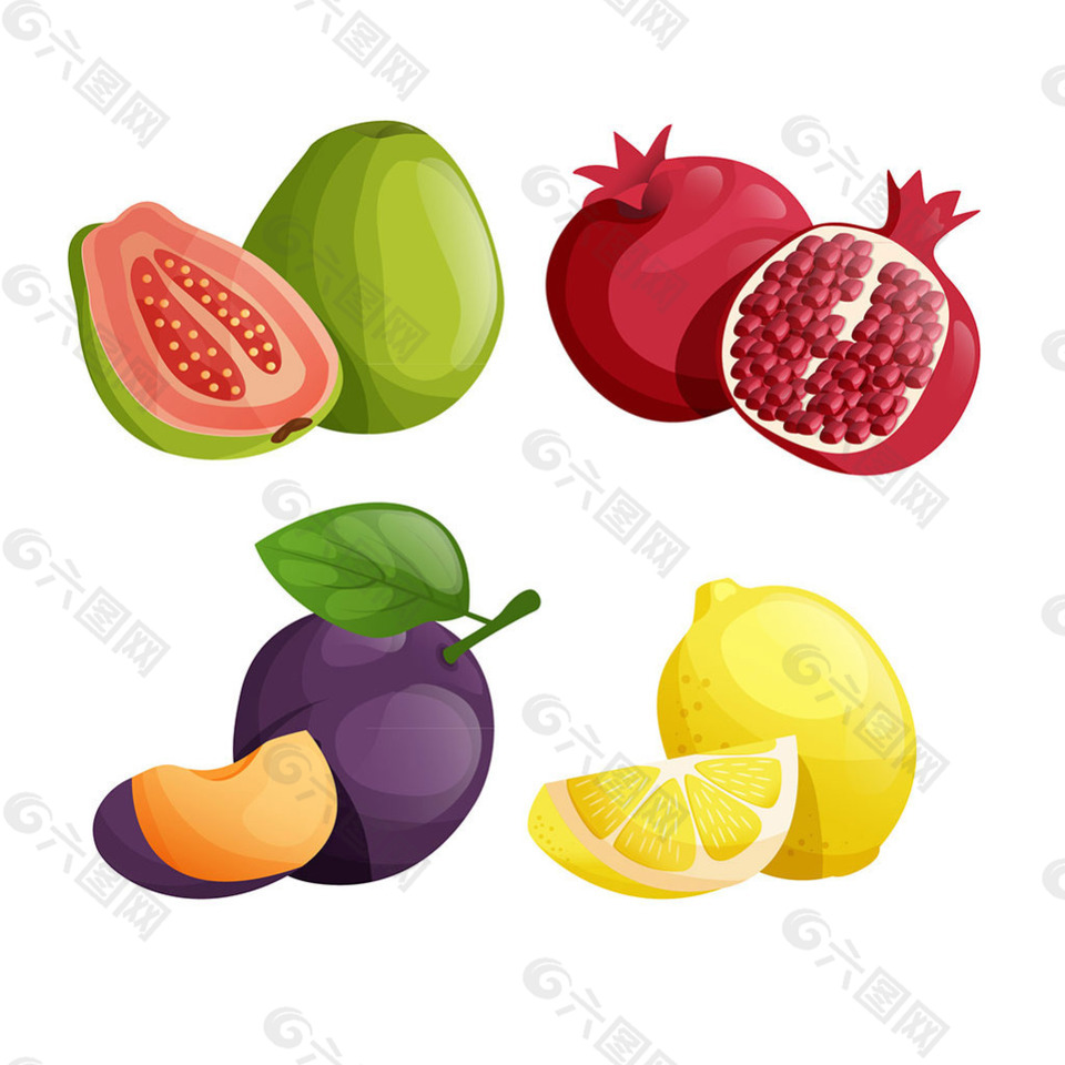 美味水果写实风格插图