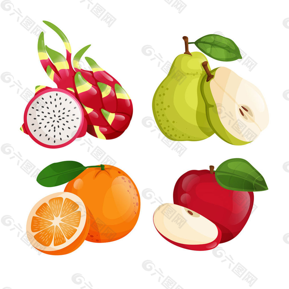 四个写实的果实插图