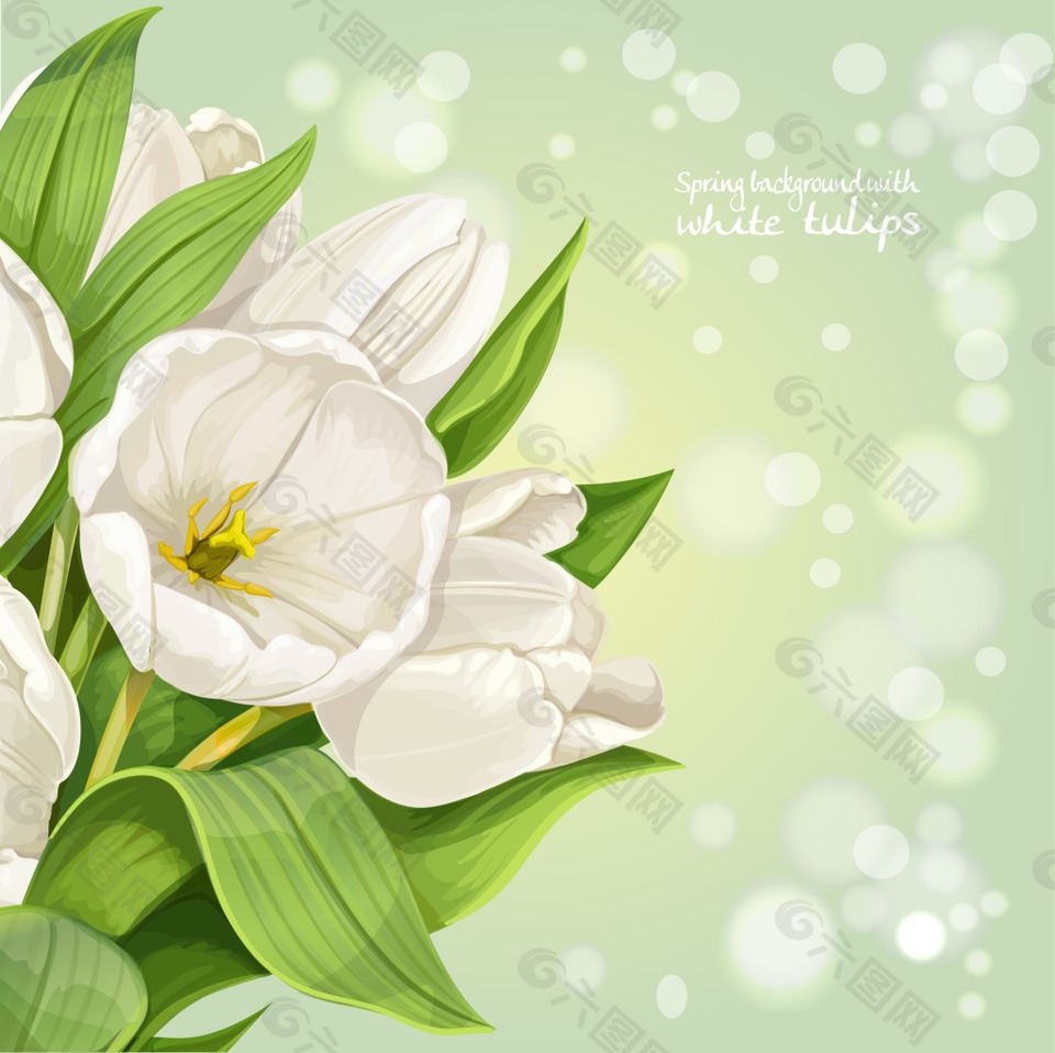纯白的花朵