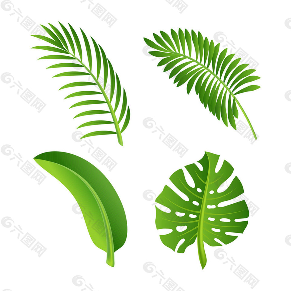 不同形状的绿色叶子插图