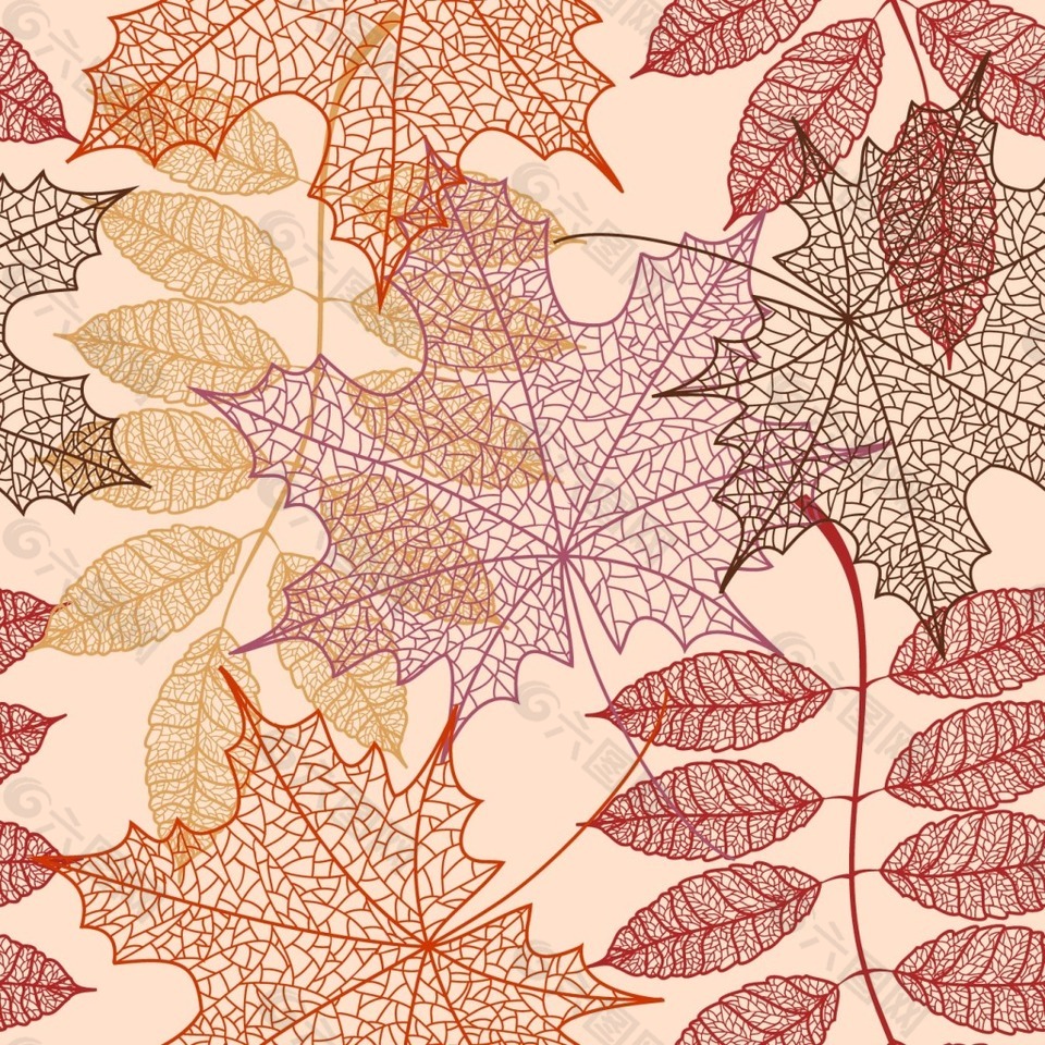 秋天的树叶图案矢量素材下载