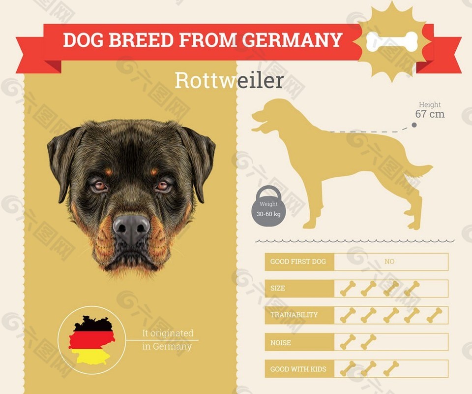 棕色狗信息图表图片