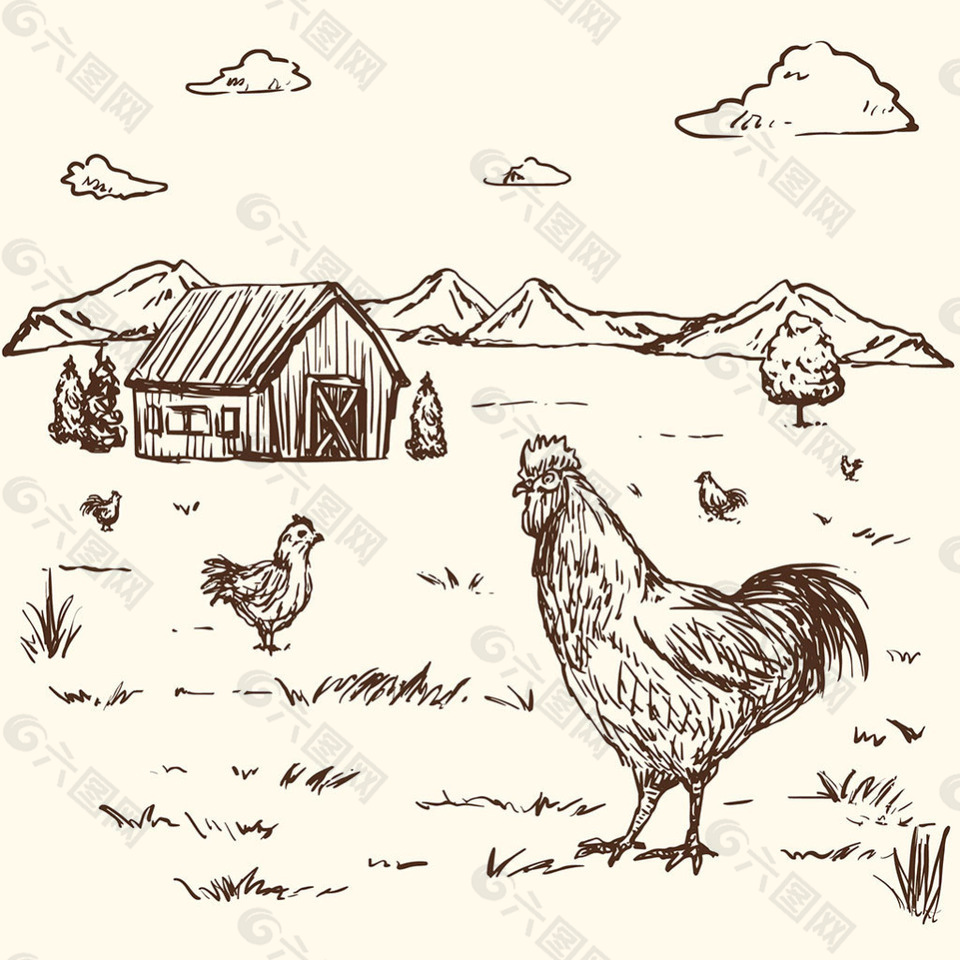 素描风格公鸡农场背景