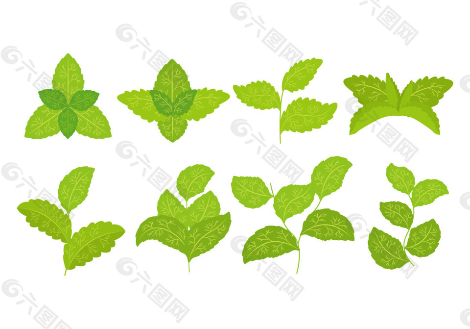 矢量手绘树叶素材