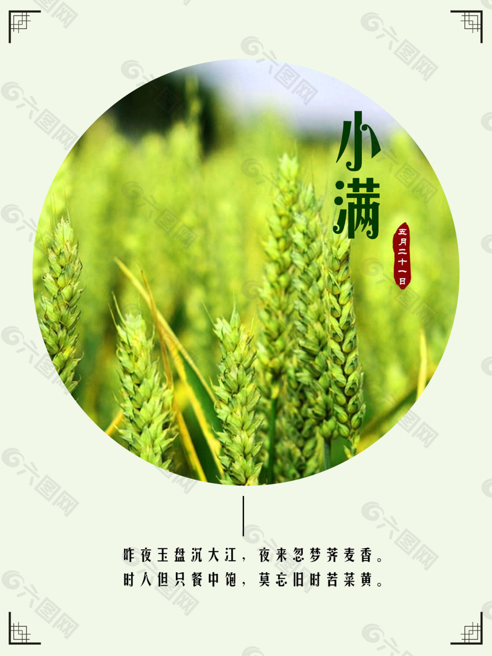 小满节气海报