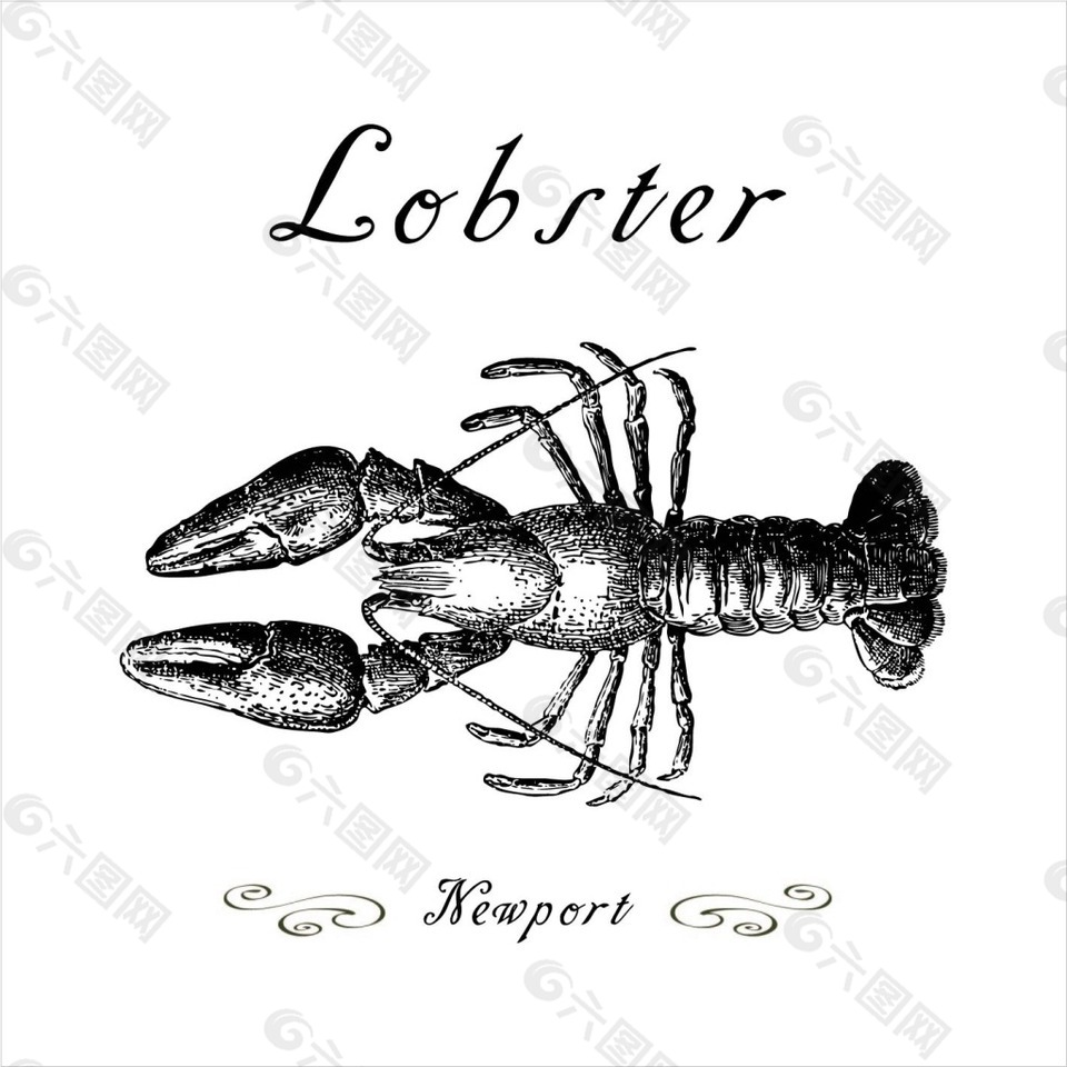 龙虾卡通插画