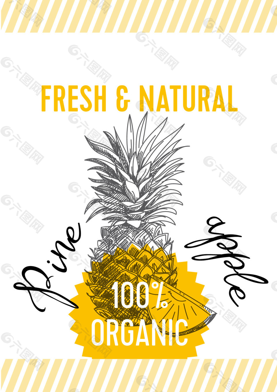 矢量手绘菠萝EPS