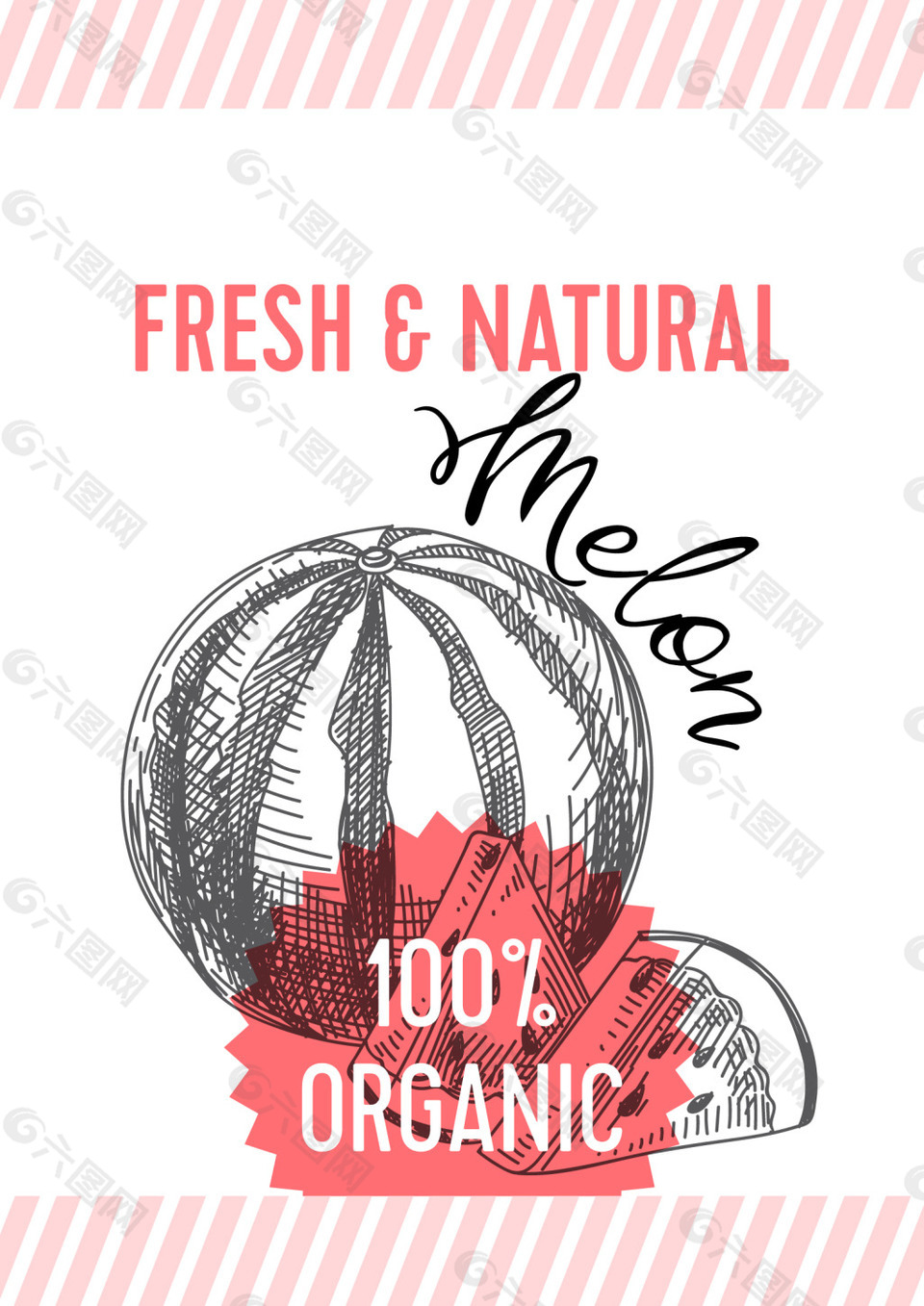 矢量手绘西瓜EPS