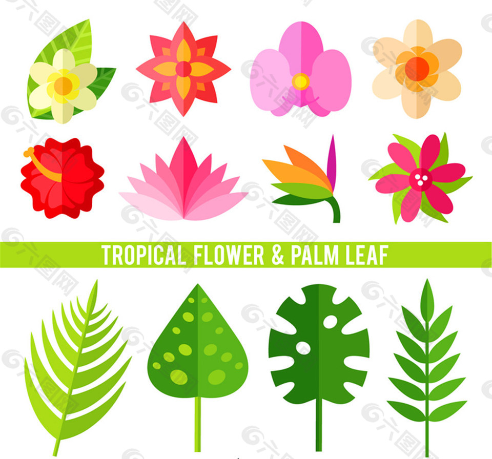 12款热带植物花卉和棕榈叶子矢量素材