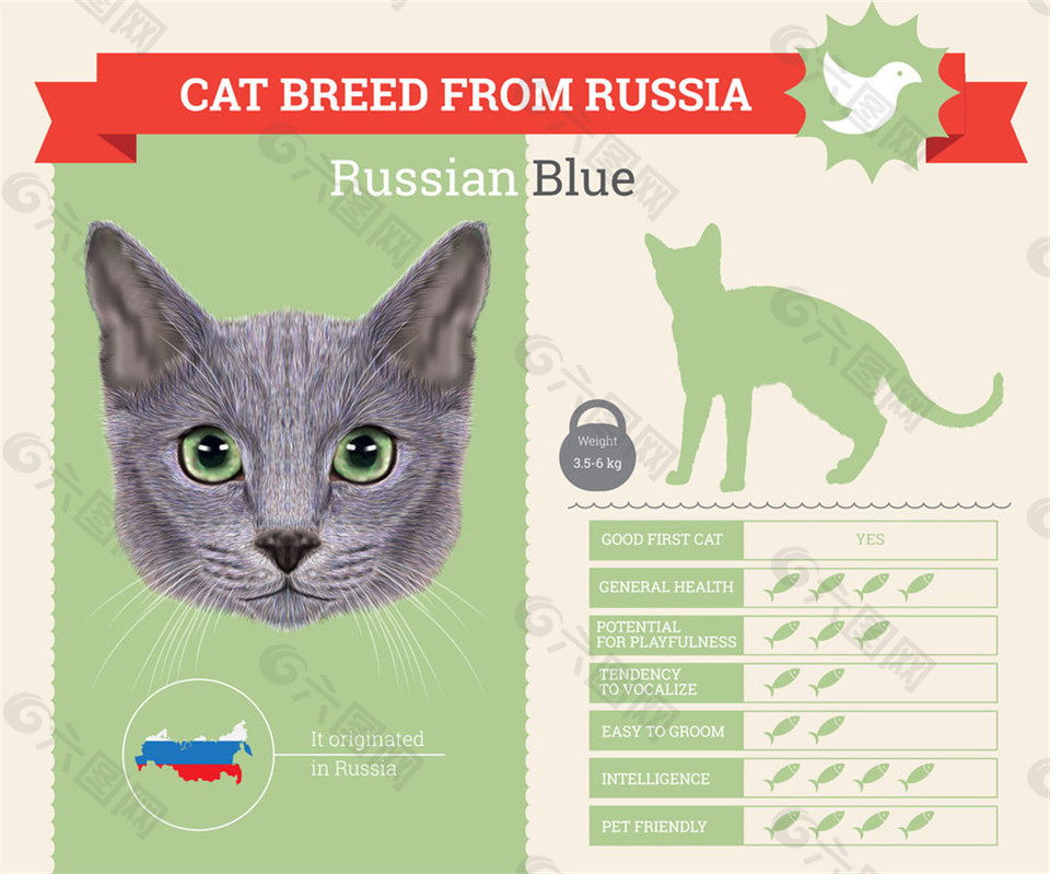 俄罗斯猫咪图表图片