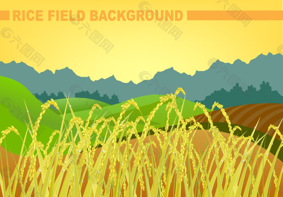 稻田背景景观