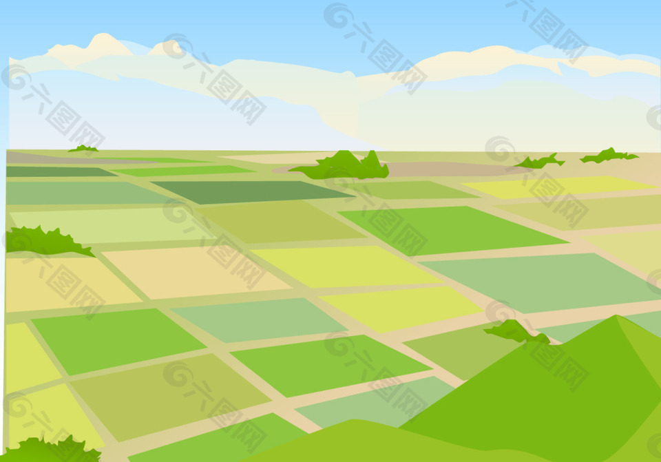 矢量插图稻田景观