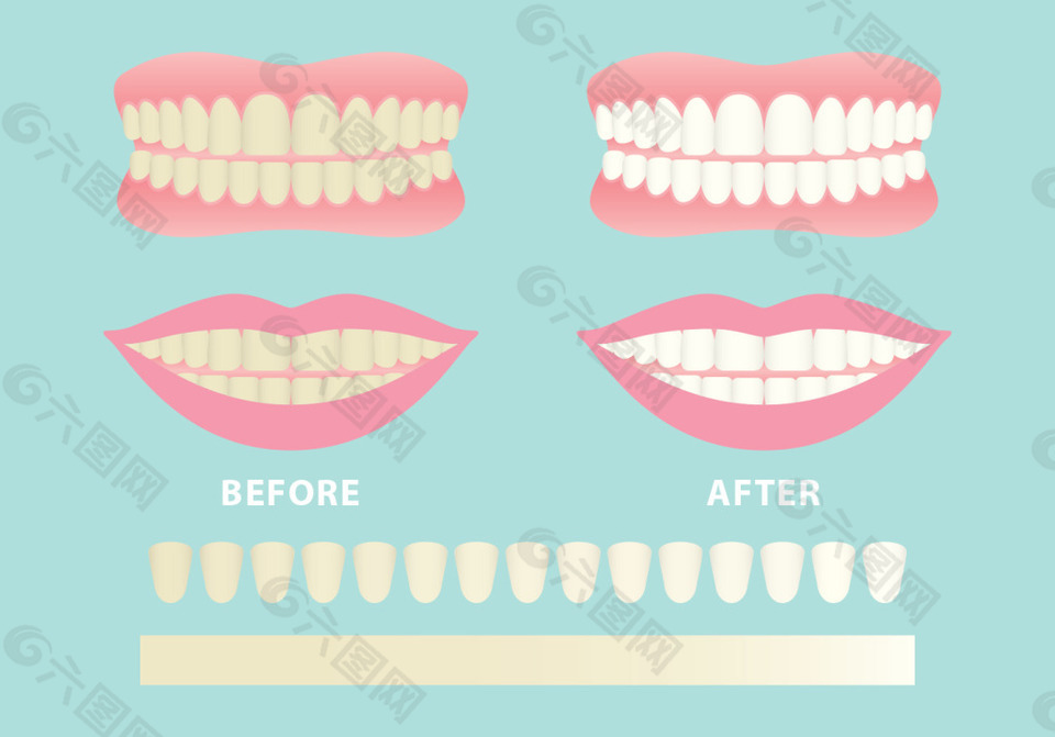 矢量牙齿素材