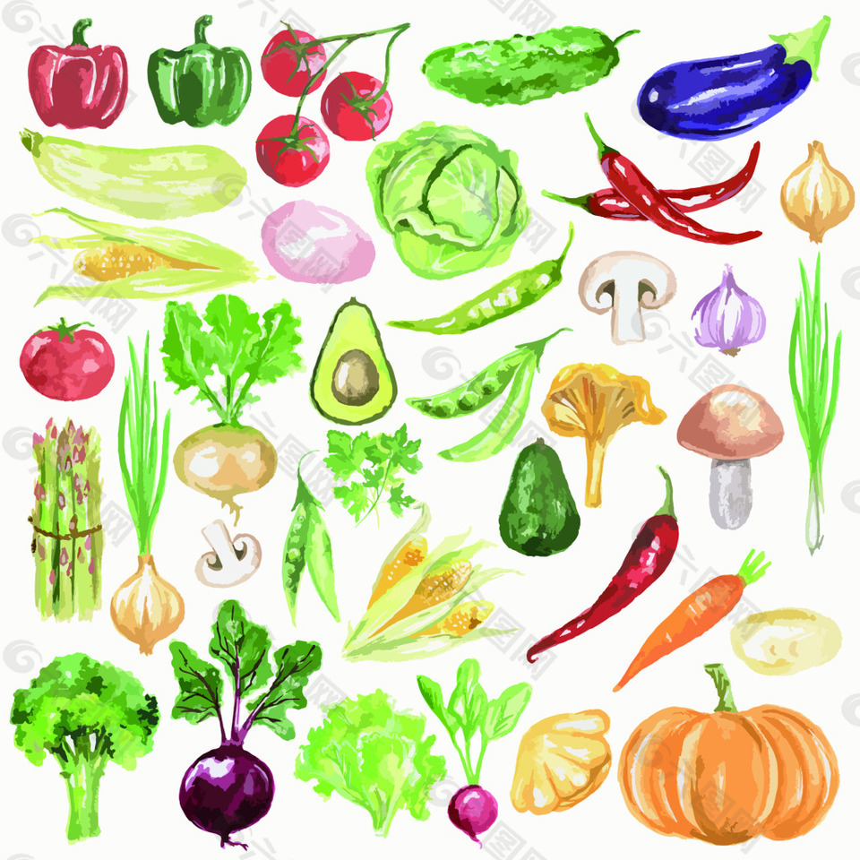 蔬菜西红柿花椰菜素描手绘水果 矢量图