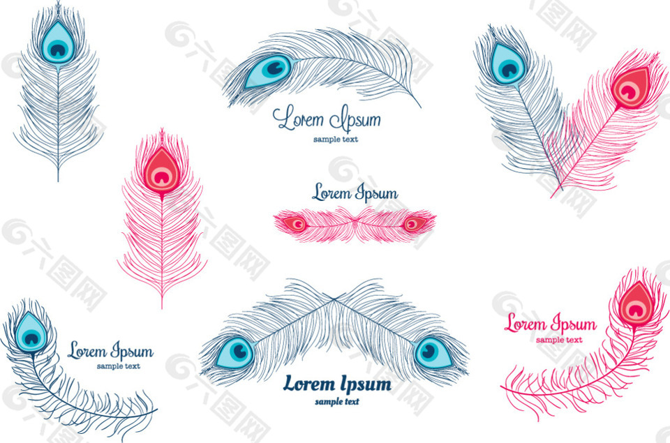 唯美孔雀羽毛素材