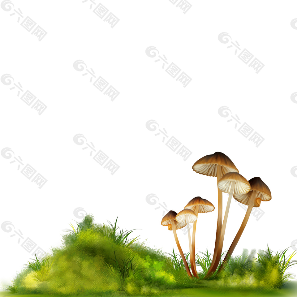 蘑菇草丛