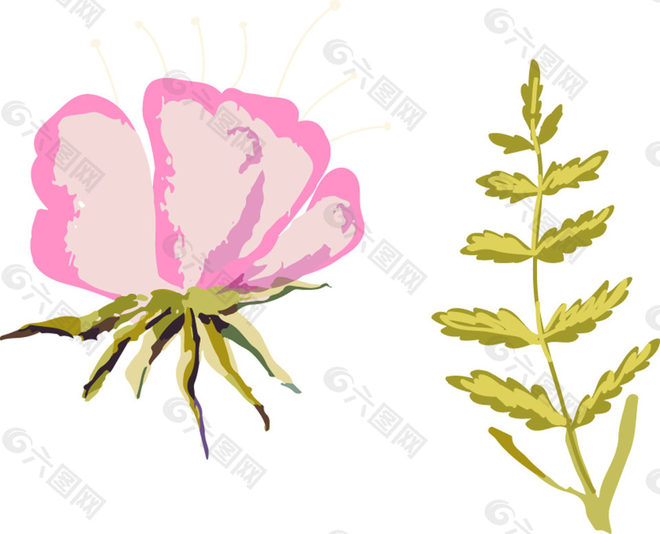 展开的高质量花朵植物素材组合