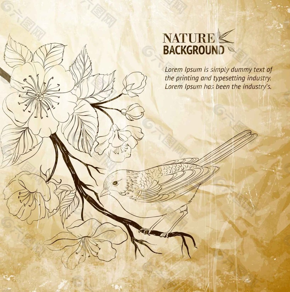 白描花朵和小鸟