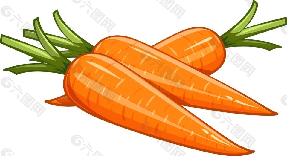 蔬菜胡萝卜